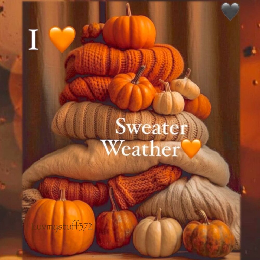 I 🧡 Sweater Weather! 🍂🍁🎃 Lots in my Closet!!!